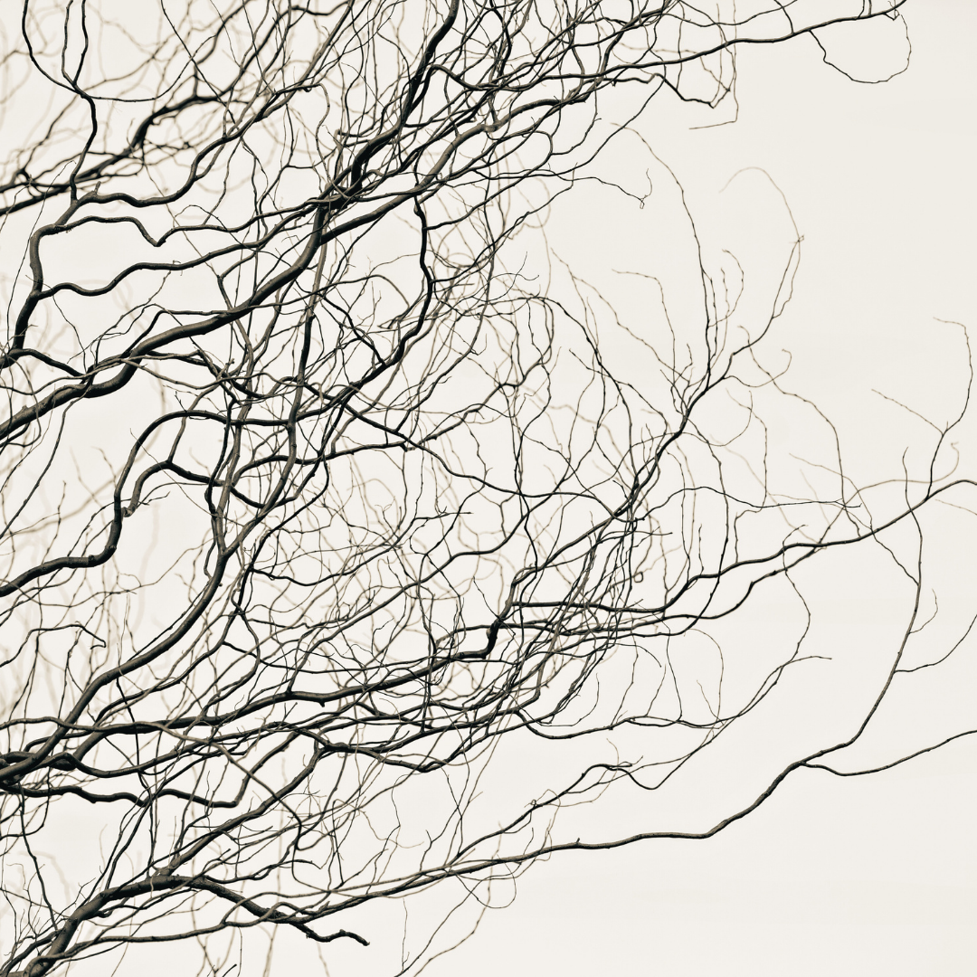 rTMS for Anxiety Disorders: Understanding How Magnetic Stimulation Helps Reduce Anxiety