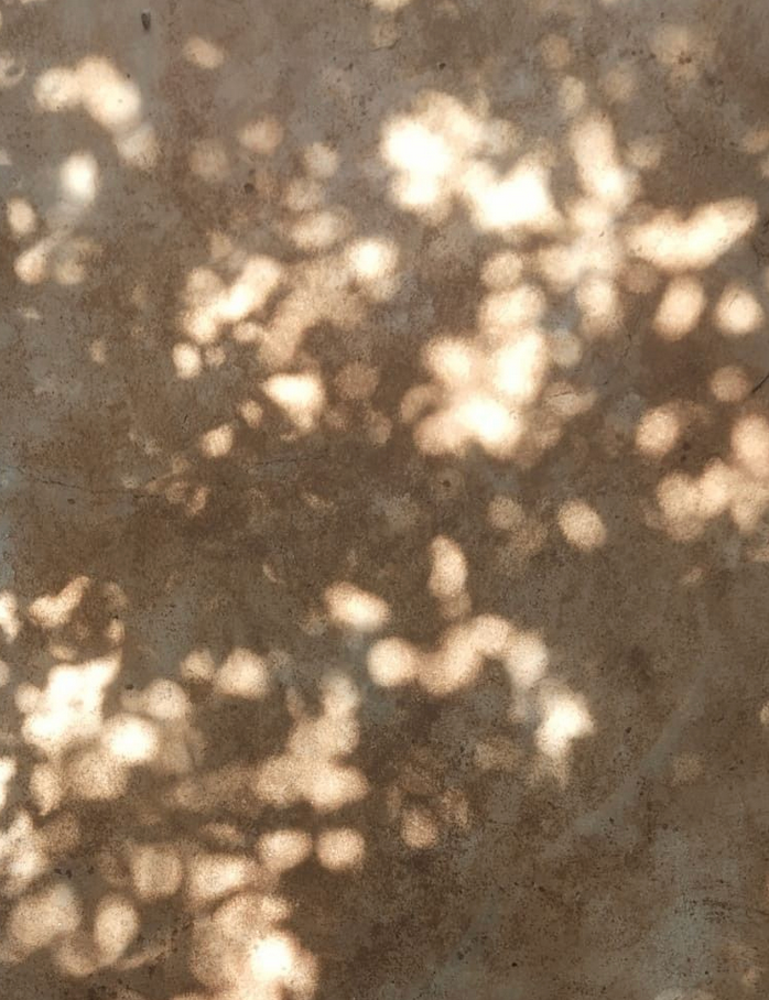 Finding the Way Back to Balance: What Science Teaches Us About Healing