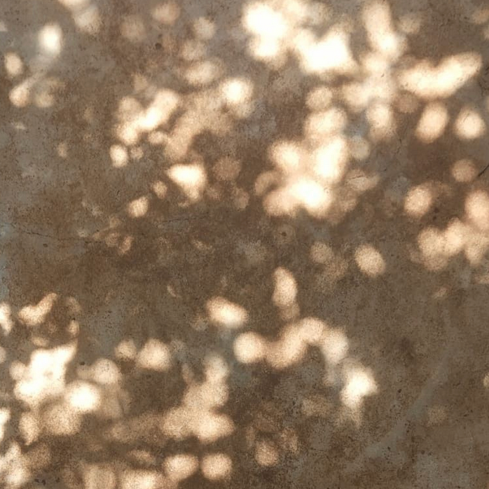 Finding the Way Back to Balance: What Science Teaches Us About Healing